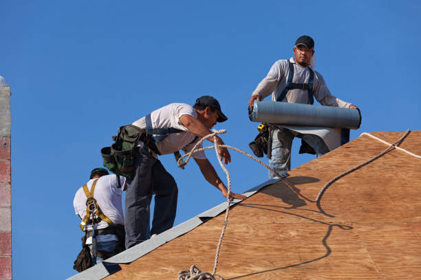 Best Commercial Roofing Services  in Crete, IL