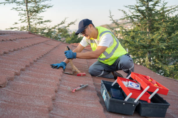 Best Metal Roofing Contractor  in Crete, IL